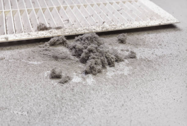 Best Air Vent Cleaning Services  in Lake Montezuma, AZ